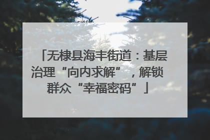 无棣县海丰街道：基层治理“向内求解”，解锁群众“幸福密码”