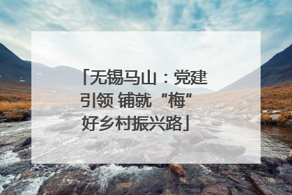 无锡马山：党建引领 铺就“梅”好乡村振兴路