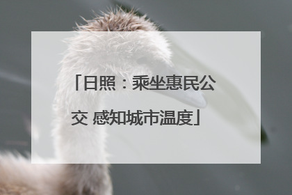 日照：乘坐惠民公交 感知城市温度