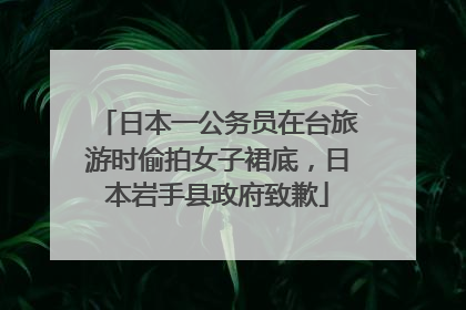 日本一公务员在台旅游时偷拍女子裙底，日本岩手县政府致歉