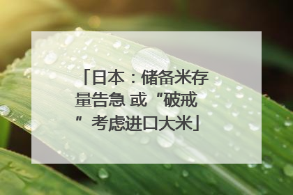 日本:储备米存量告急 或“破戒”考虑进口大米