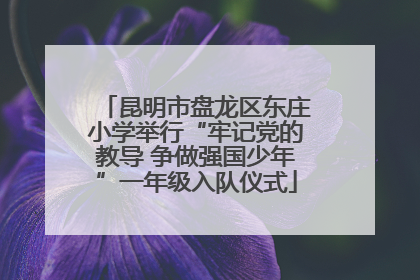 昆明市盘龙区东庄小学举行“牢记党的教导 争做强国少年”一年级入队仪式