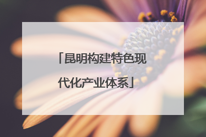 昆明构建特色现代化产业体系
