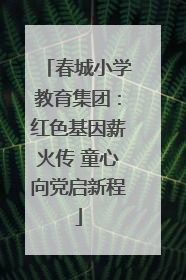 春城小学教育集团：红色基因薪火传 童心向党启新程