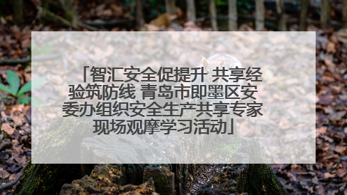 智汇安全促提升 共享经验筑防线 青岛市即墨区安委办组织安全生产共享专家现场观摩学习活动
