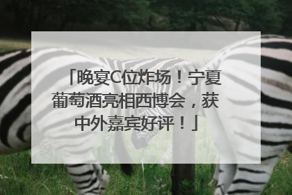 晚宴C位炸场!宁夏葡萄酒亮相西博会,获中外嘉宾好评!