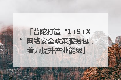 普陀打造“1+9+X”网络安全政策服务包，着力提升产业能级