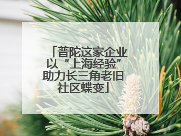 普陀这家企业以“上海经验”助力长三角老旧社区蝶变