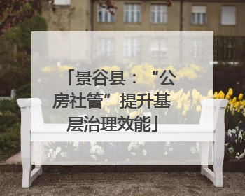 景谷县：“公房社管”提升基层治理效能