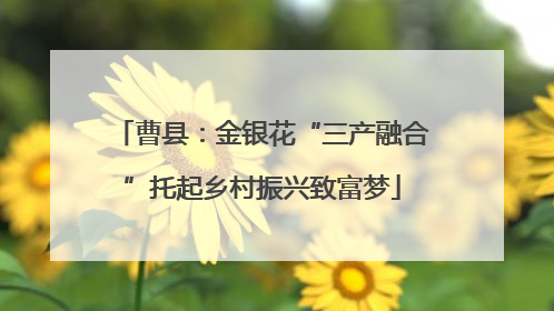 曹县：金银花“三产融合”托起乡村振兴致富梦