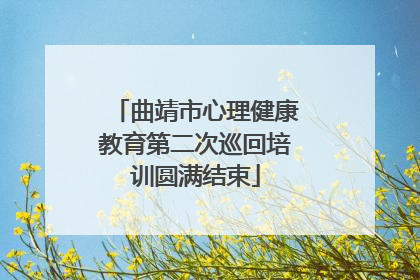 曲靖市心理健康教育第二次巡回培训圆满结束