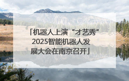 机器人上演“才艺秀” 2025智能机器人发展大会在南京召开