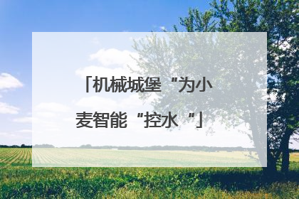 机械城堡“为小麦智能“控水“