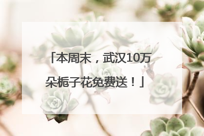 本周末，武汉10万朵栀子花免费送！