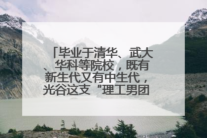 毕业于清华、武大、华科等院校，既有新生代又有中生代，光谷这支“理工男团”为何“出道”？
