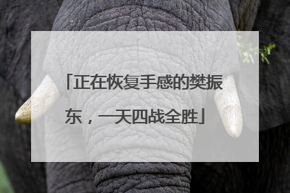 正在恢复手感的樊振东，一天四战全胜