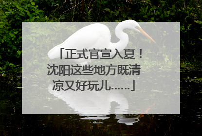 正式官宣入夏！沈阳这些地方既清凉又好玩儿……