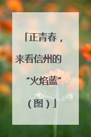 正青春，来看信州的“火焰蓝”（图）