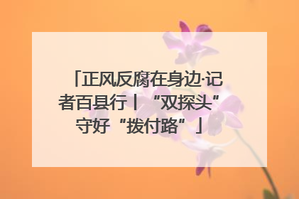 正风反腐在身边·记者百县行丨“双探头”守好“拨付路”