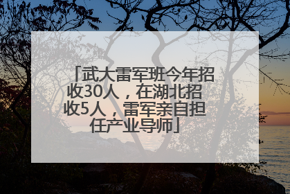 武大雷军班今年招收30人，在湖北招收5人，雷军亲自担任产业导师