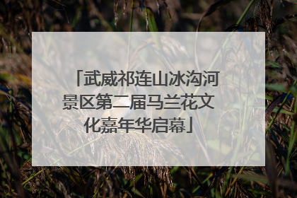武威祁连山冰沟河景区第二届马兰花文化嘉年华启幕