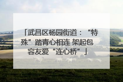武昌区杨园街道：“特殊”踏青心相连 架起包容友爱“连心桥”