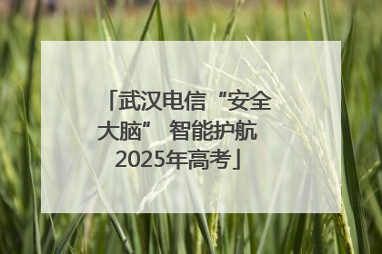 武汉电信“安全大脑” 智能护航2025年高考