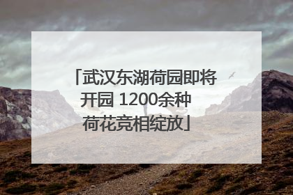 武汉东湖荷园即将开园 1200余种荷花竞相绽放