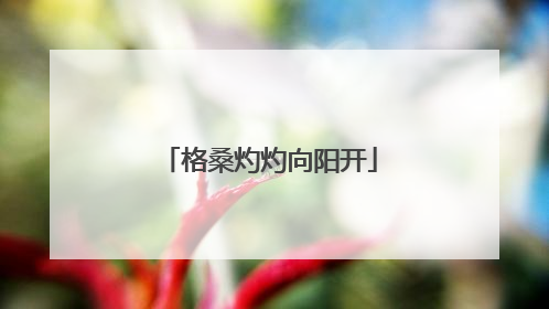 格桑灼灼向阳开
