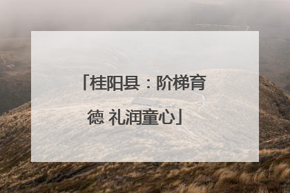 桂阳县：阶梯育德 礼润童心
