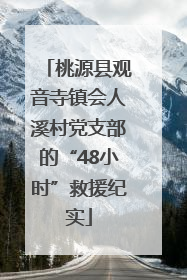 桃源县观音寺镇会人溪村党支部的“48小时”救援纪实