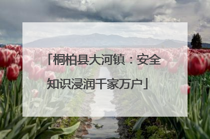 桐柏县大河镇：安全知识浸润千家万户