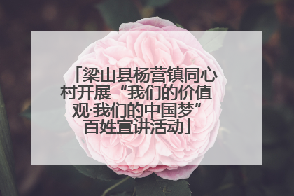梁山县杨营镇同心村开展“我们的价值观·我们的中国梦”百姓宣讲活动