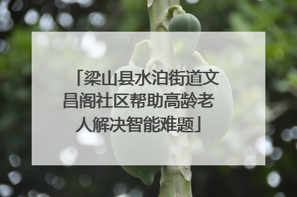 梁山县水泊街道文昌阁社区帮助高龄老人解决智能难题