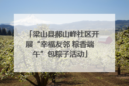 梁山县郝山峰社区开展“幸福友邻 粽香端午”包粽子活动