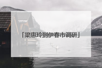 梁惠玲到伊春市调研