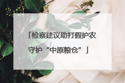 检察建议助打假护农守护“中原粮仓”