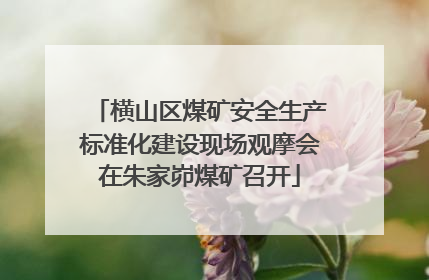 横山区煤矿安全生产标准化建设现场观摩会在朱家峁煤矿召开