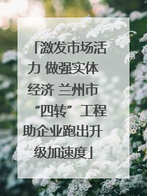 激发市场活力 做强实体经济 兰州市“四转”工程助企业跑出升级加速度