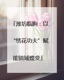 潍坊临朐：以“绣花功夫”赋能镇域蝶变
