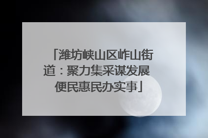 潍坊峡山区岞山街道：聚力集采谋发展 便民惠民办实事