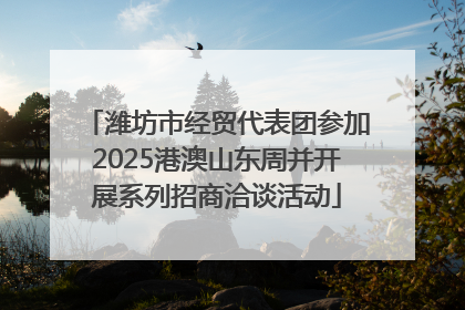 潍坊市经贸代表团参加2025港澳山东周并开展系列招商洽谈活动