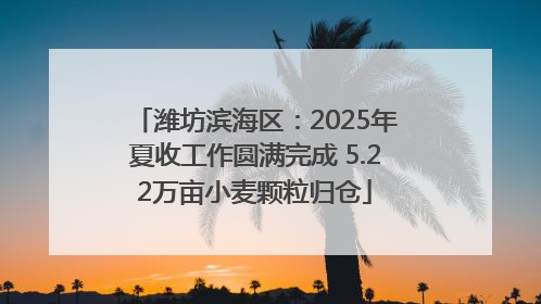 潍坊滨海区：2025年夏收工作圆满完成 5.22万亩小麦颗粒归仓
