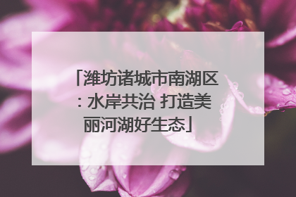 潍坊诸城市南湖区：水岸共治 打造美丽河湖好生态