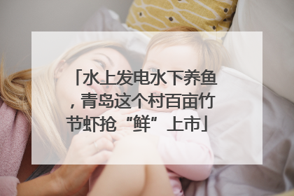 水上发电水下养鱼，青岛这个村百亩竹节虾抢“鲜”上市