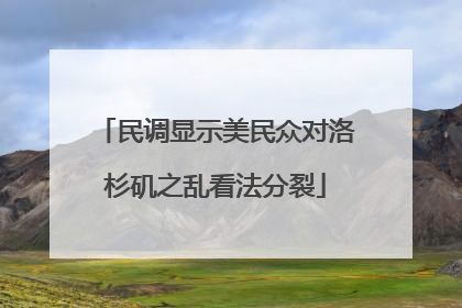 民调显示美民众对洛杉矶之乱看法分裂