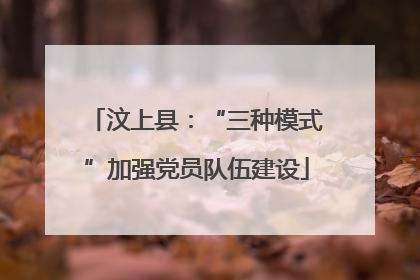 汶上县：“三种模式”加强党员队伍建设