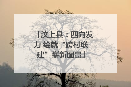 汶上县：四向发力 绘就“跨村联建”崭新图景
