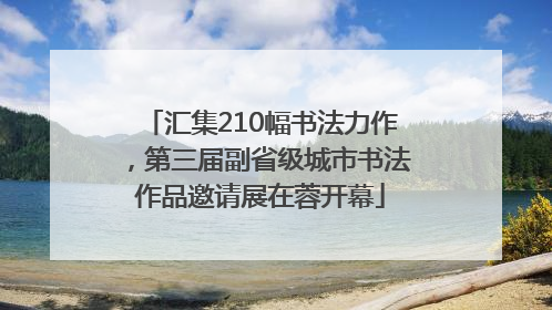 汇集210幅书法力作，第三届副省级城市书法作品邀请展在蓉开幕