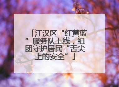 江汉区“红黄蓝”服务队上线，组团守护居民“舌尖上的安全”